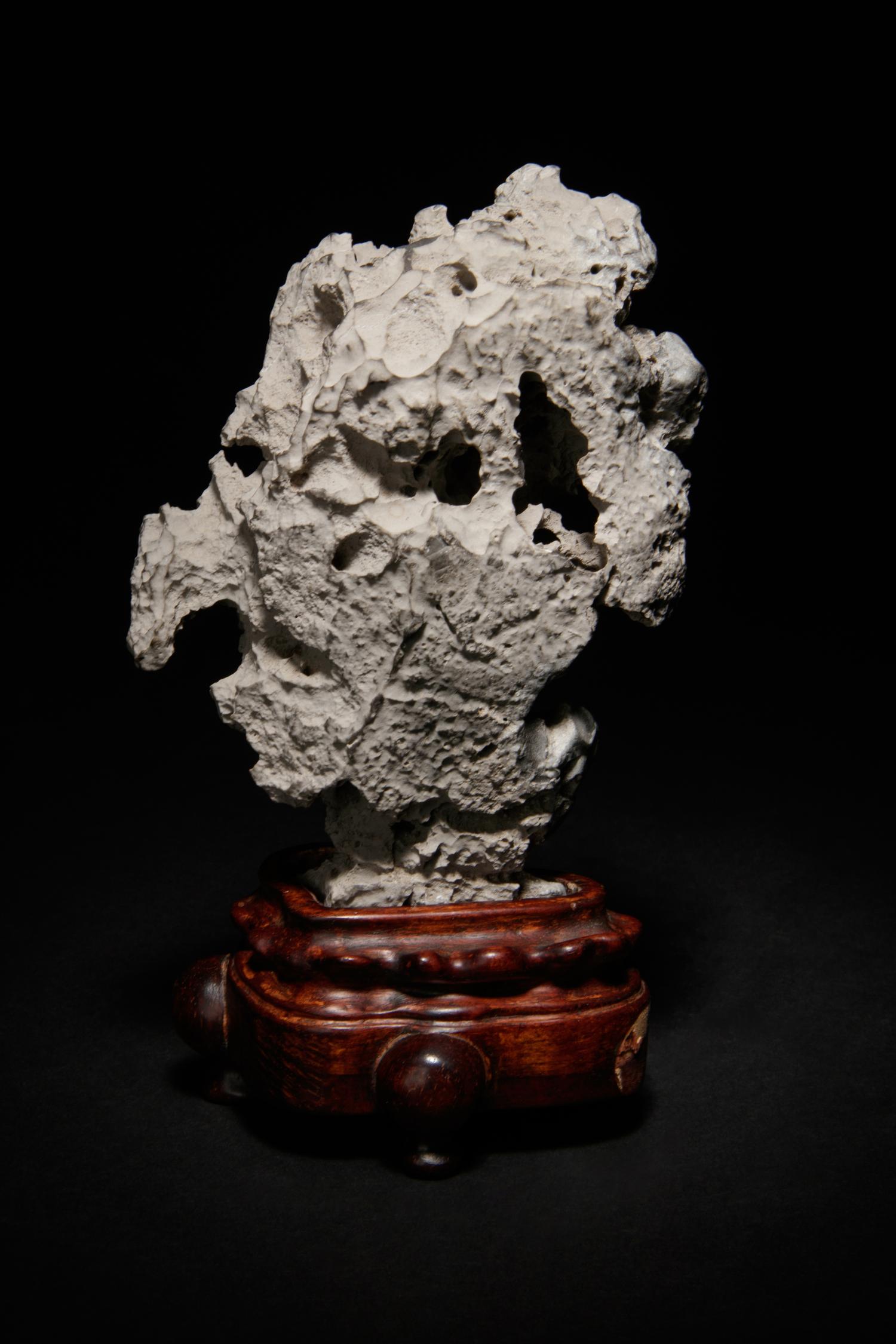 A Small Scholar's Rock