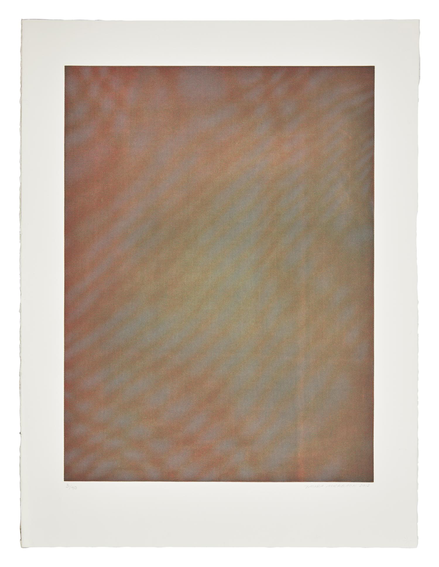 Mesh Moire I , 2012