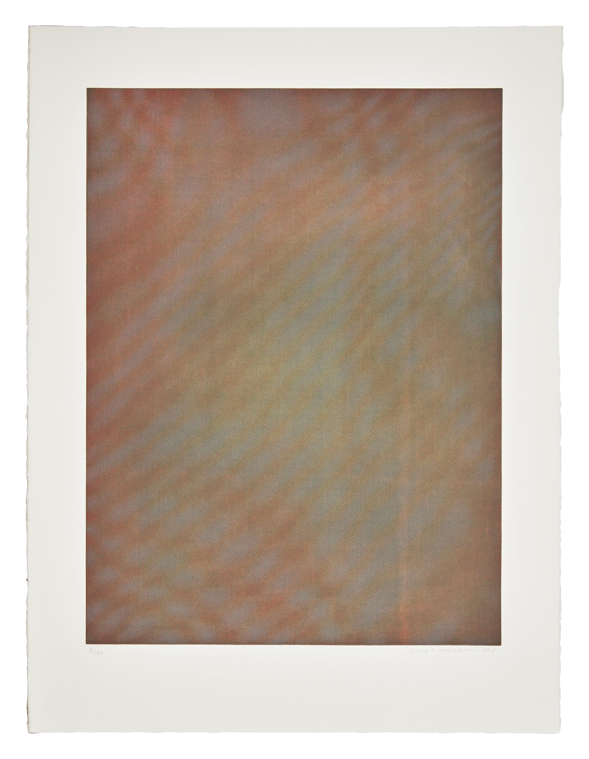 Mesh Moire I , 2012