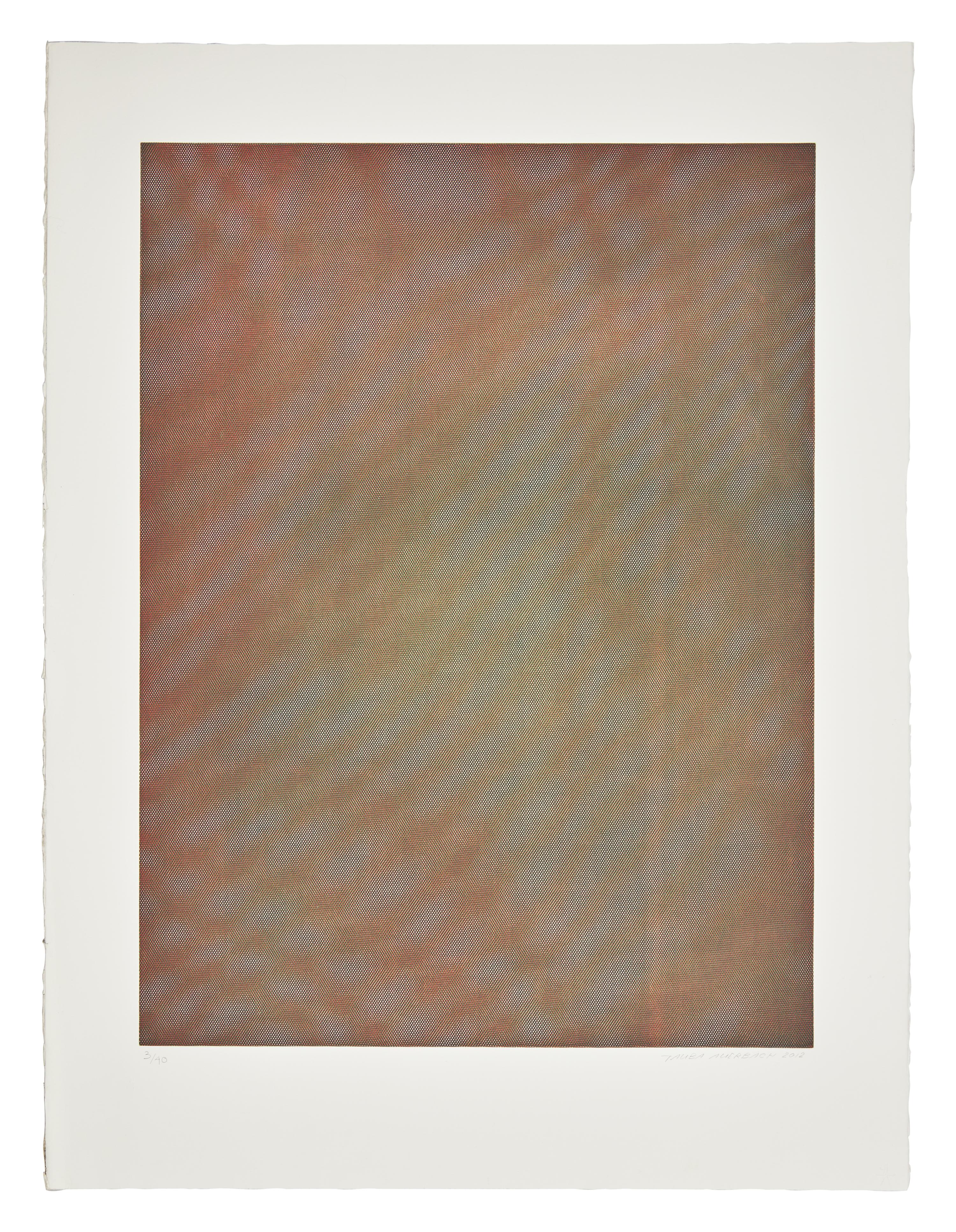Mesh Moire I , 2012