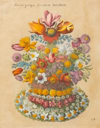 A German Hand-Colored Botanical Engraving