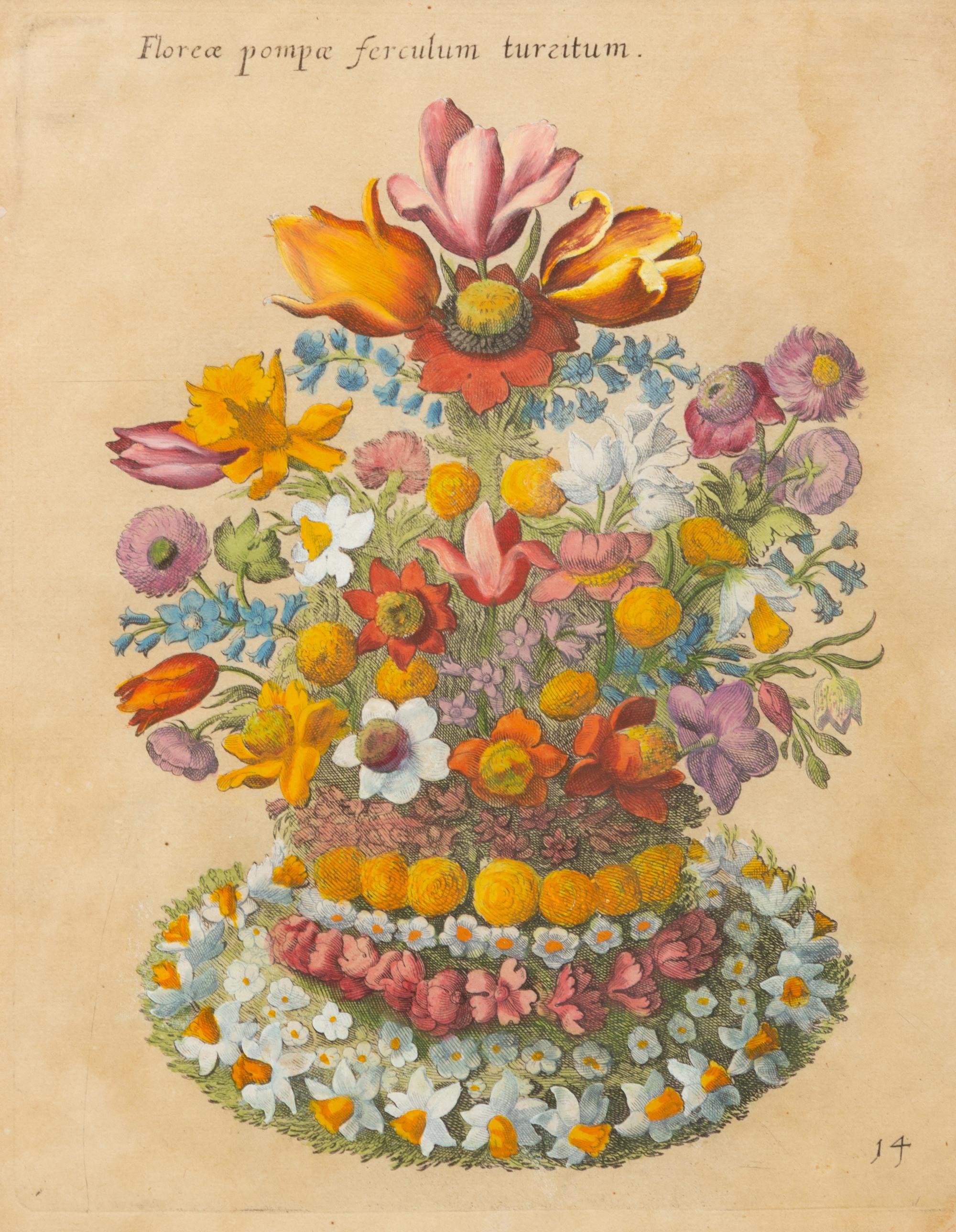 A German Hand-Colored Botanical Engraving