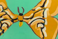 Yellow Butterfly on Green