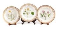 A Set of Twelve Royal Copenhagen Flora Danica Dinner Plates Diameter 10 inches. — CIRCA 1979-1983