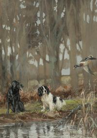 Springer Spaniels at Work and Anticipation (two works)