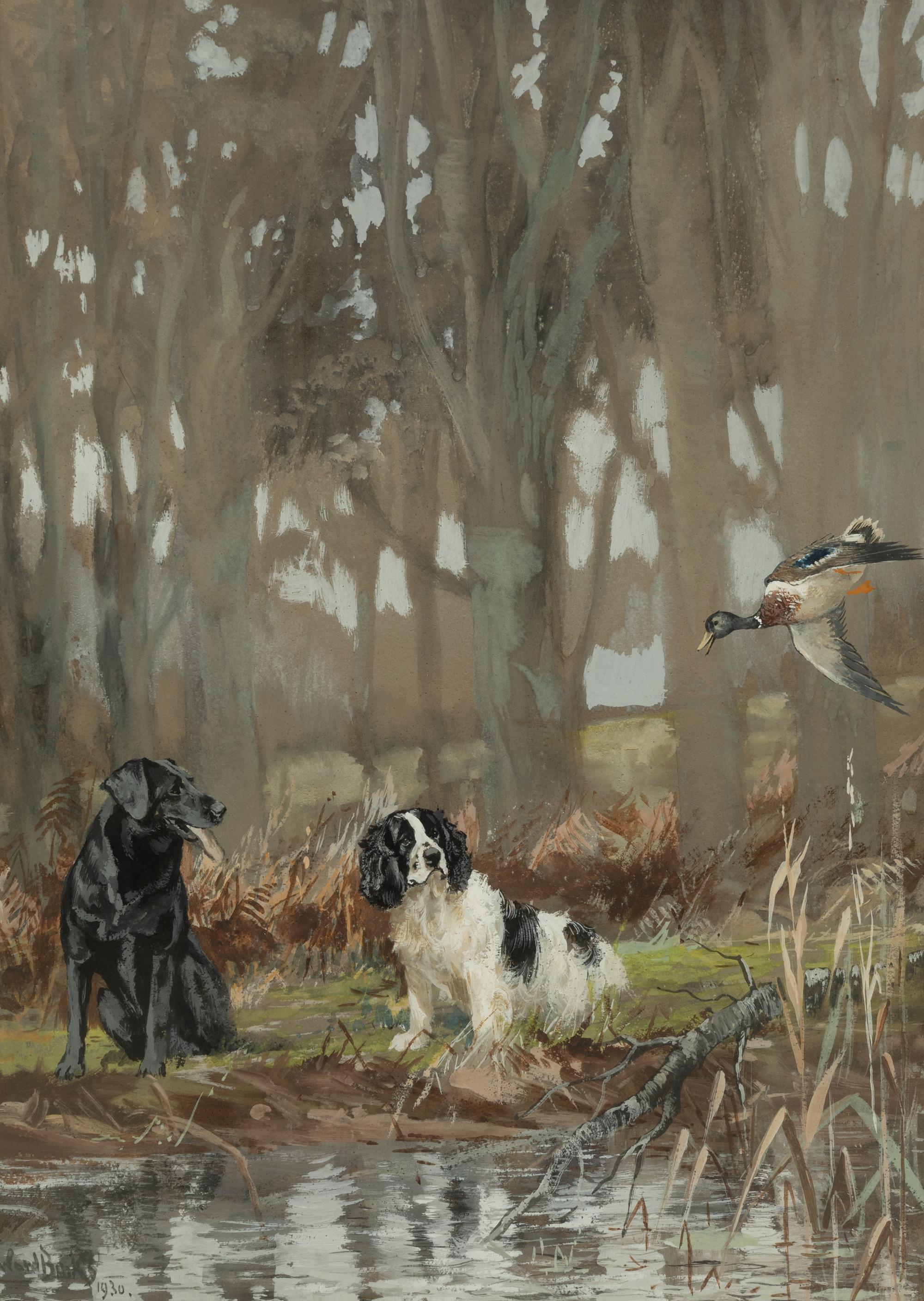 Springer Spaniels at Work and Anticipation (two works)