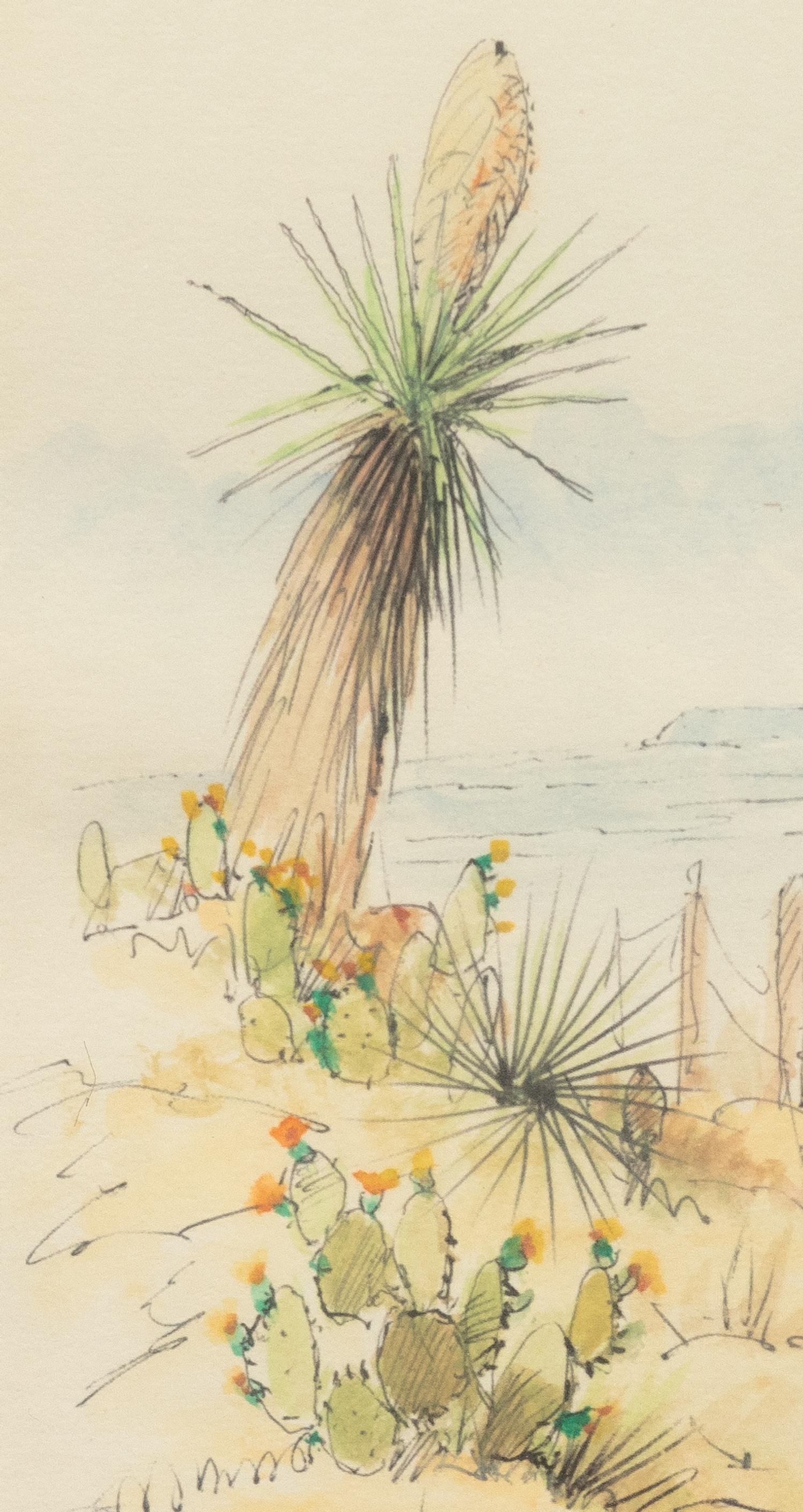 Yucca Country
