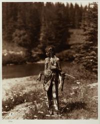 A Group of Six modern Photographs