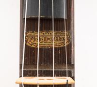 Three Stringed Instruments