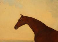 Untitled (Bay Hunter)