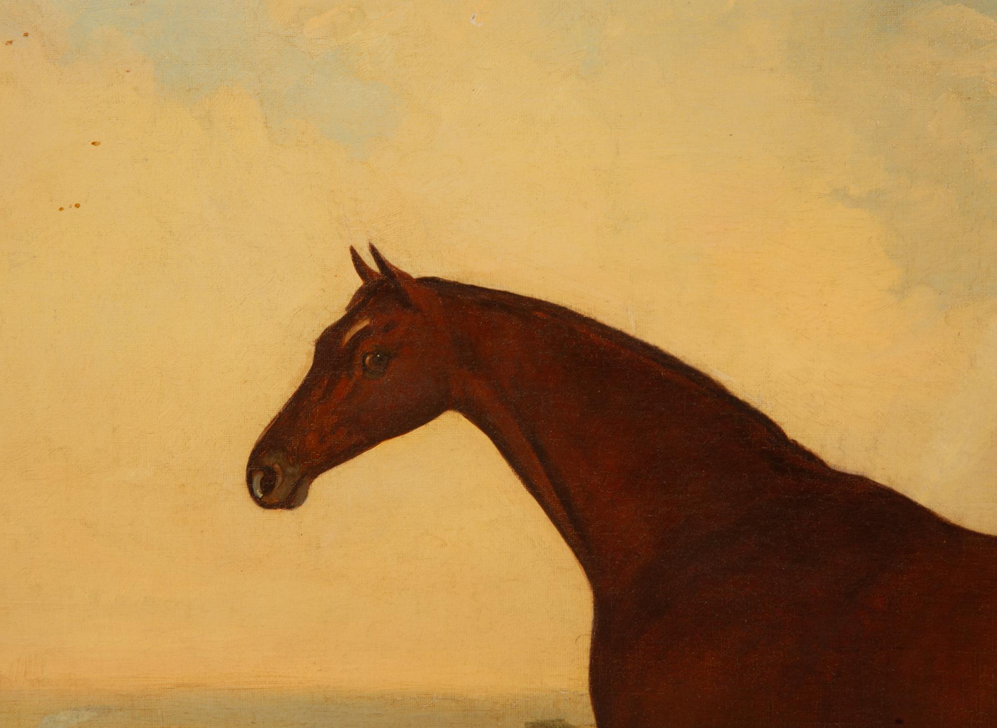 Untitled (Bay Hunter)