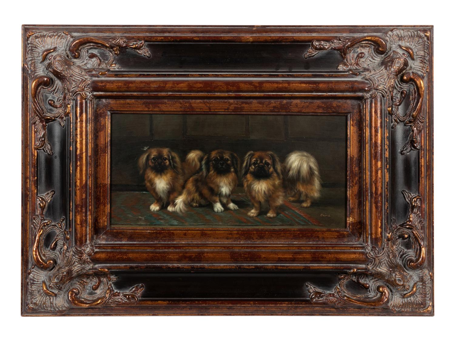 Three Pekingese Dogs