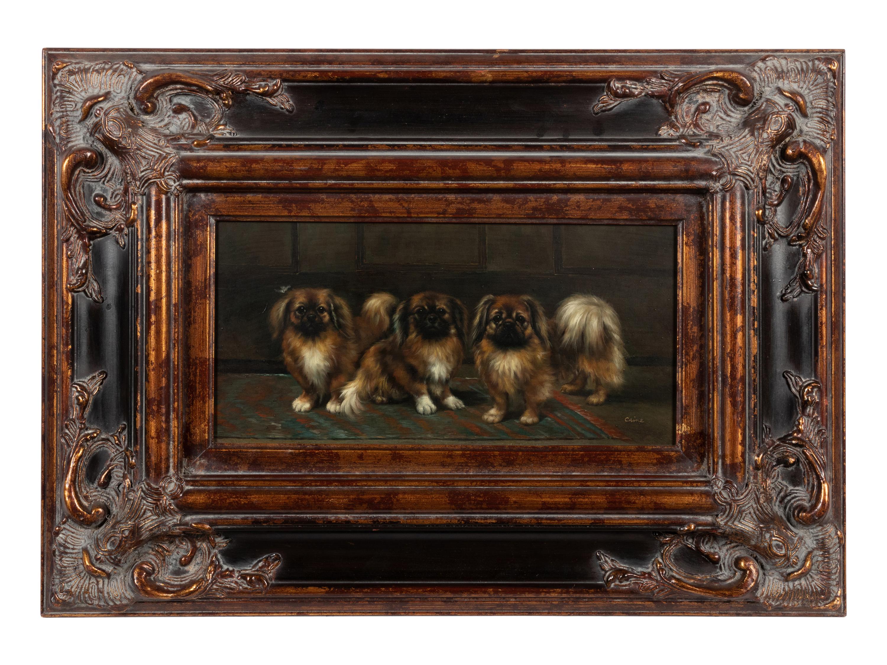 Three Pekingese Dogs