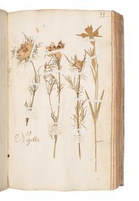 [SPECIMEN ALBUM]. JEANPIERRE, Sebastien. "Catalogue General de toutes les plantes mises pau Lettre alphabetique fait pau Sebastien Jeanpierre Garcon apotiquaire chez Le sieu Dierson M. apotiquaire." Nancy, France, 1741.