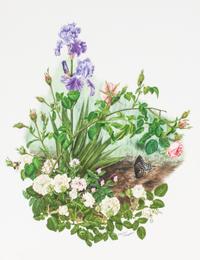 Maryrose Wampler, (20th century), Two works: Butterflies and Flowers
