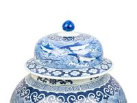 A Chinese Export Blue and White Porcelain Jar