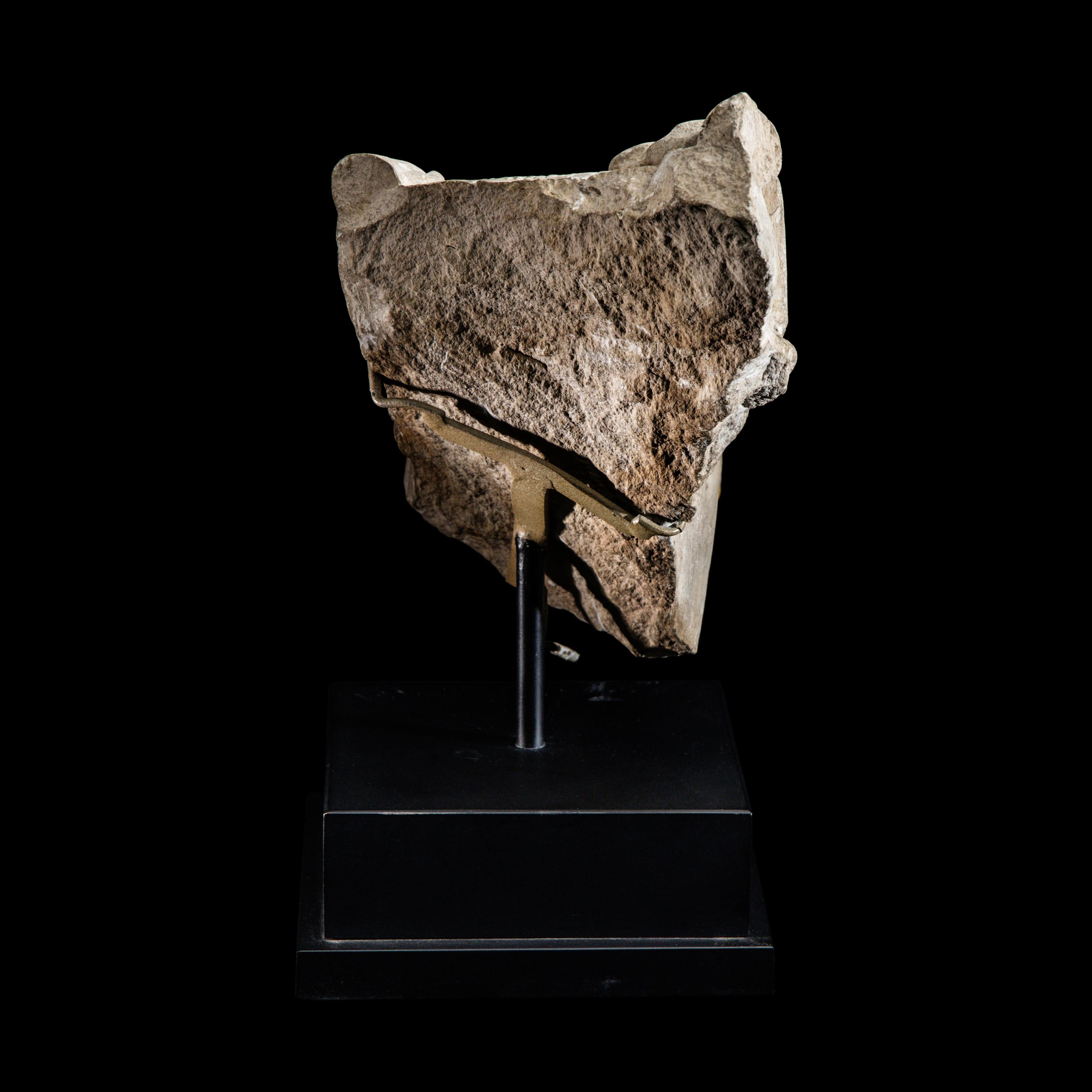 An Egyptian Limestone Fragment of a Seated Scribe