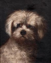 Portrait of a White Terrier