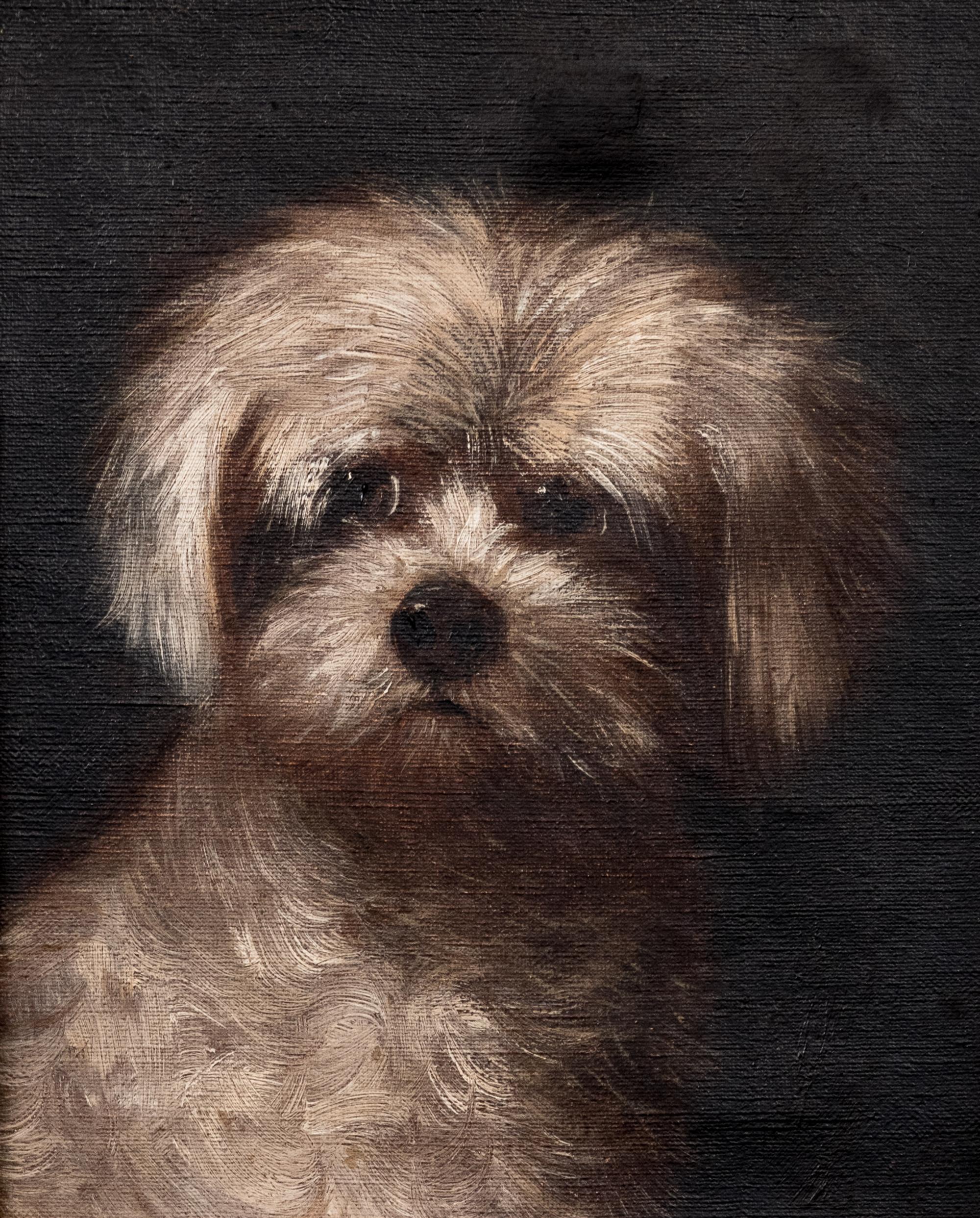 Portrait of a White Terrier