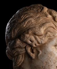 A Roman Marble Head of Venus (Capitoline Type)