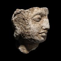 A Gandharan Stucco Head