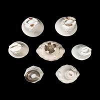 Seven Chinese Blanc-de-Chine Porcelain Libation Cups, 18th-Early 20th Century 清中期-民國 德化白瓷梅花杯及鹿鶴同春杯七支