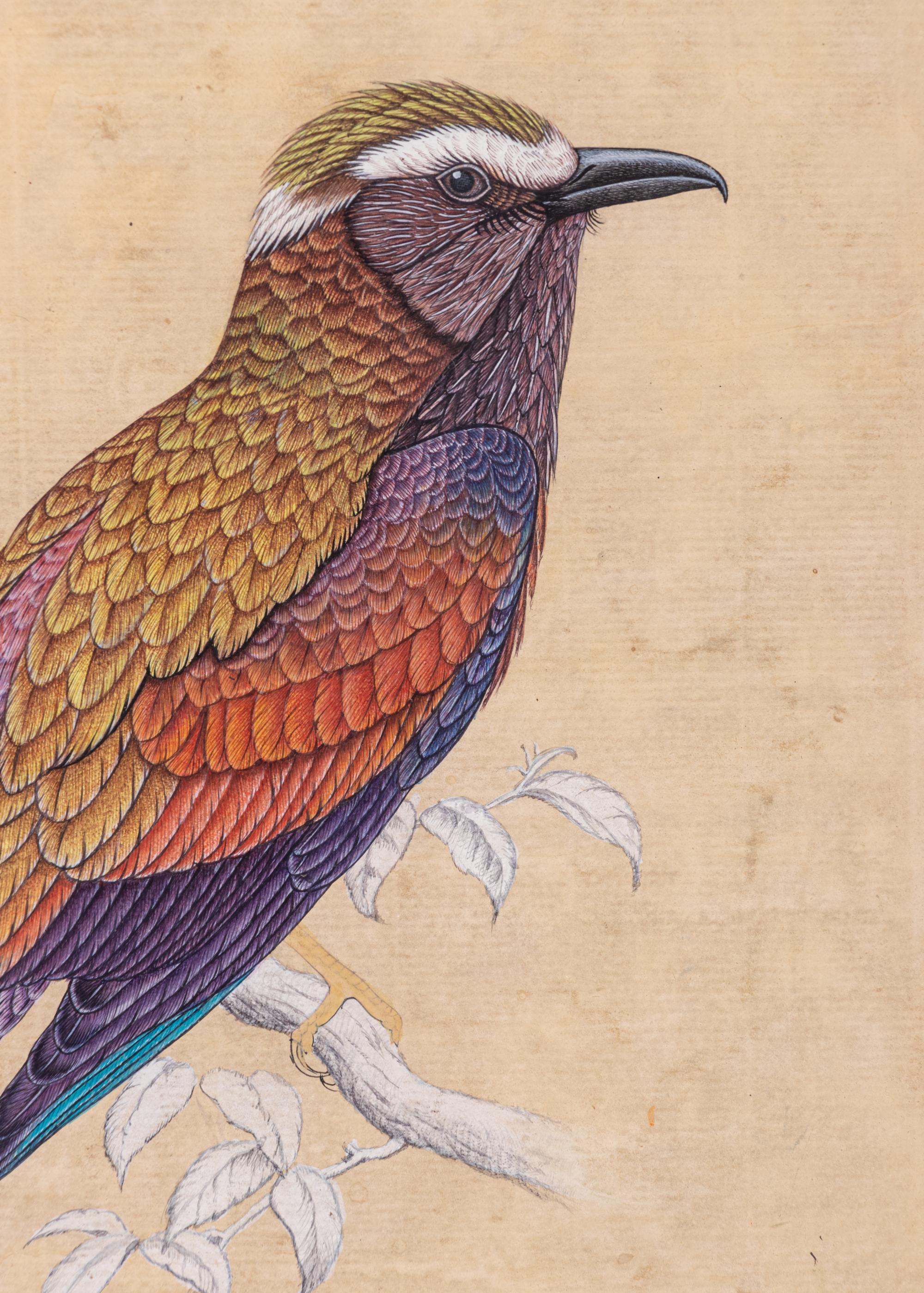 Four Indian and Islamic Miniature Paintings Depicting Birds