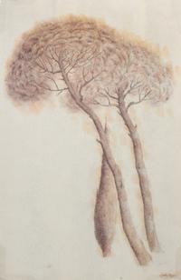 Dudley Huppler, (American, 1917-1988), Pines and Cypress