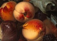 Still Life with Peaches and a Perroquet , 1651