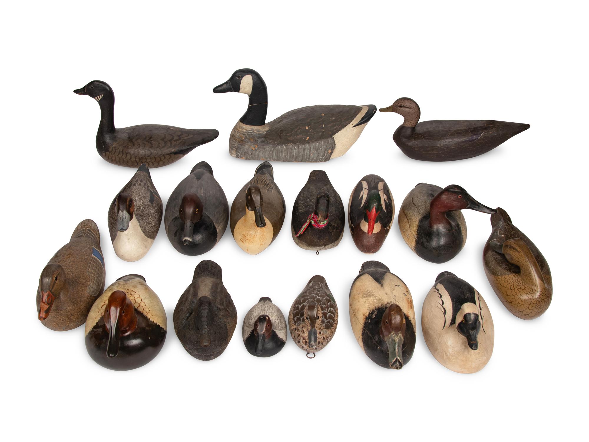 A Collection of Painted Wood Duck and Goose Decoys