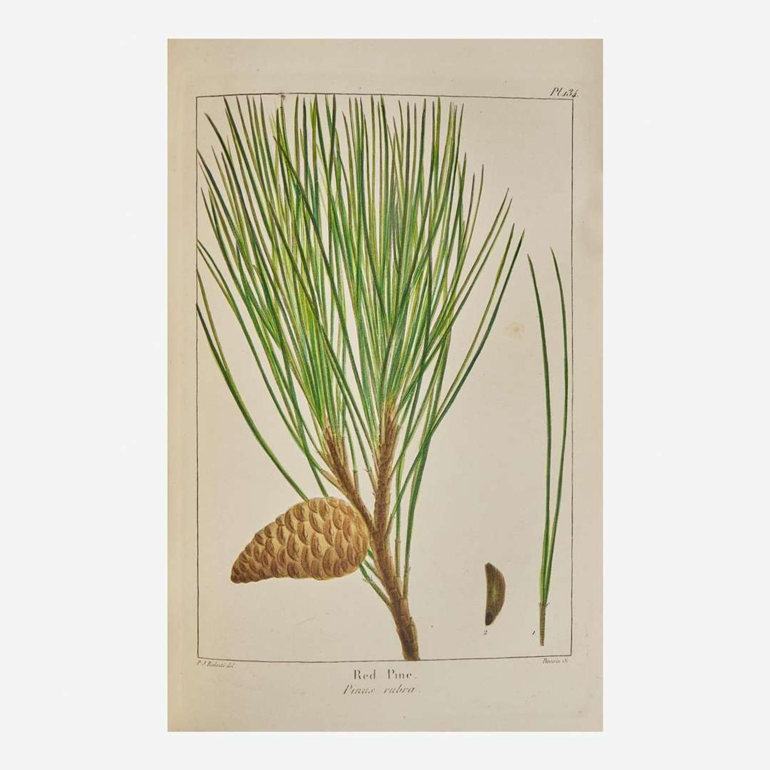 [Americana] Michaux, F. Andrew, and Thomas Nuttall The North American Sylva; or, a Description of the Forest Trees of the United States, Canada, and Nova Scotia...