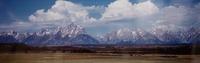 Summer Pastures , edition of 950
