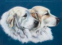 Four Works of Art depicting Great Pyrenees Largest: 14 7/8 x 20 1/2 inches.