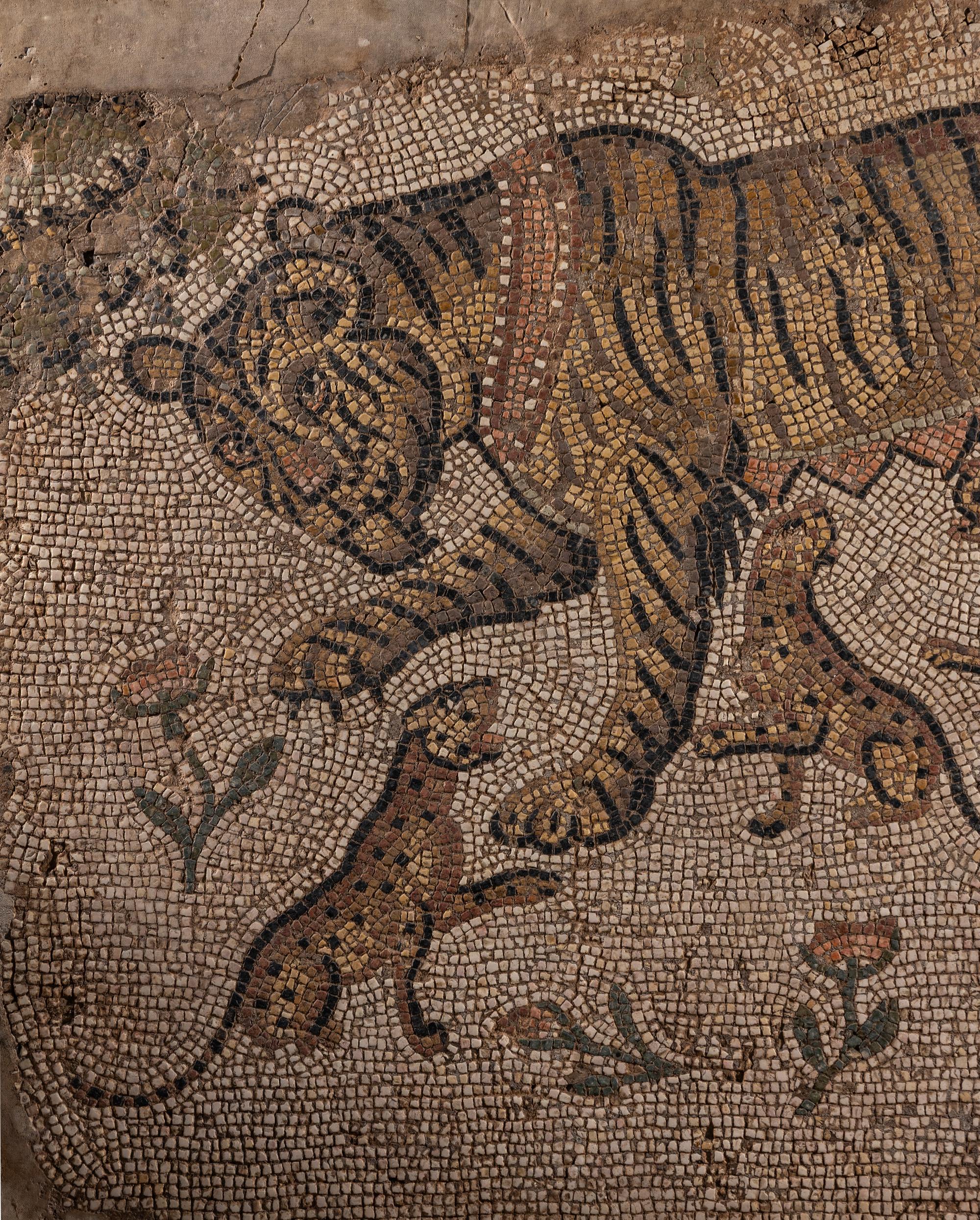 A Late Roman Mosaic Panel of a Tigress with Cubs