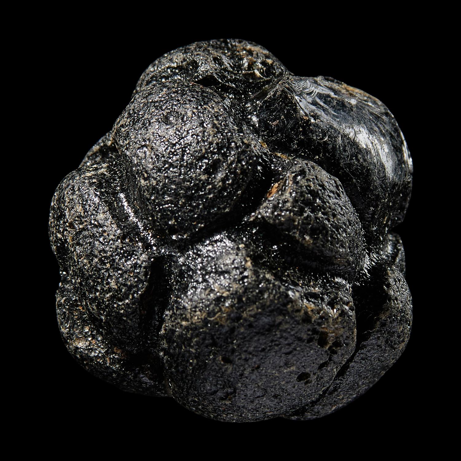 A Large Bicolite Tektite