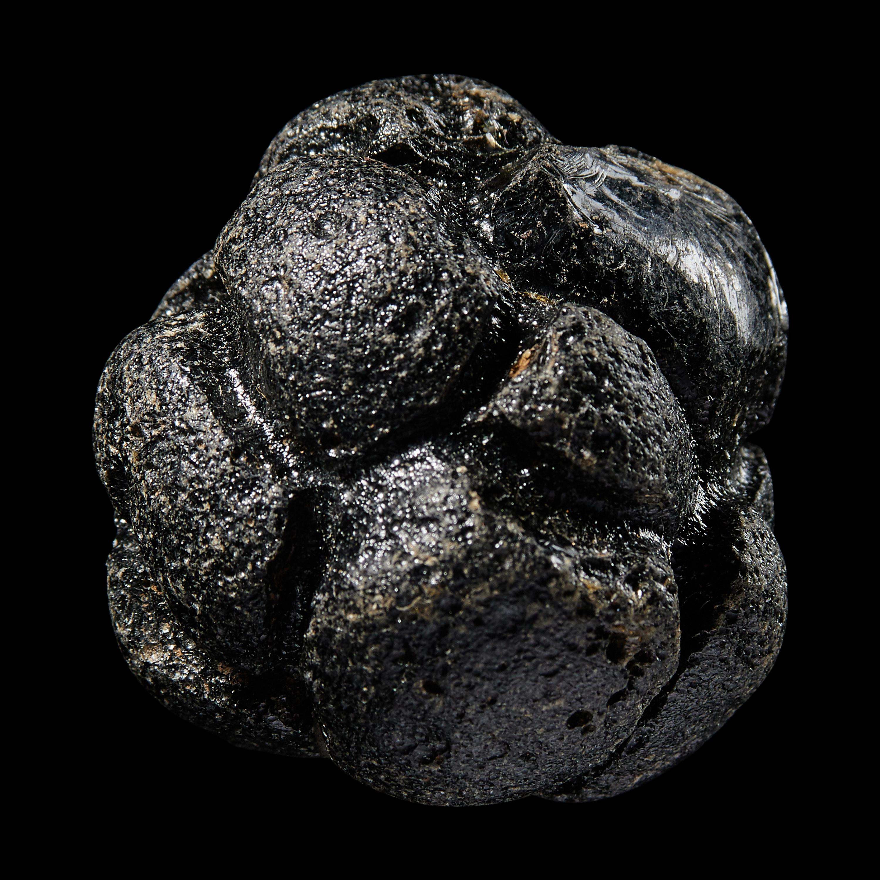 A Large Bicolite Tektite