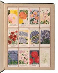 [SALESMAN'S CATALOGUE]. Seed sample catalogue. Germany, ca 1900.