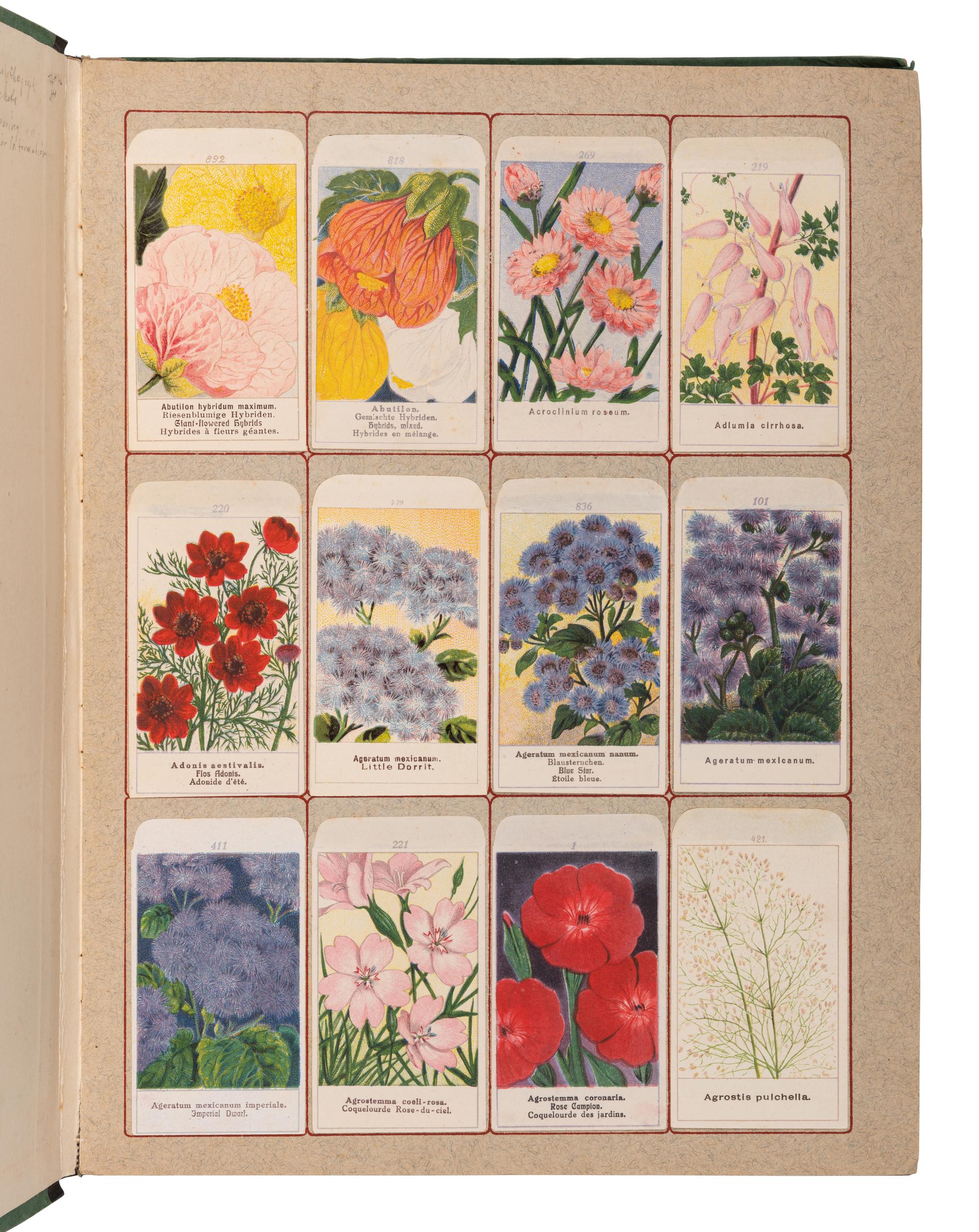 [SALESMAN'S CATALOGUE]. Seed sample catalogue. Germany, ca 1900.