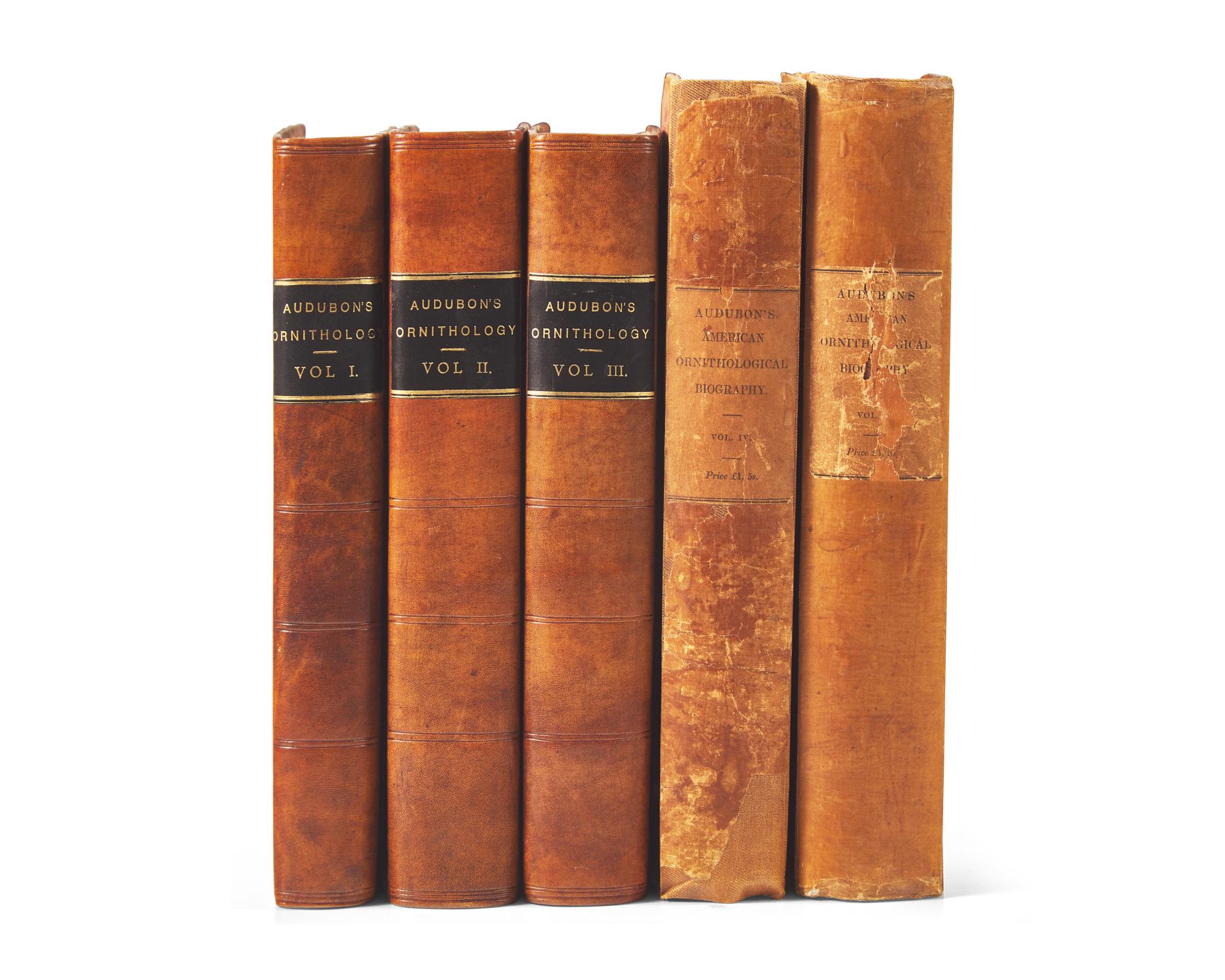 [Natural History] Audubon, John James. Ornithological Biography, Or An Account of the Habits of the Birds of the United States of America...