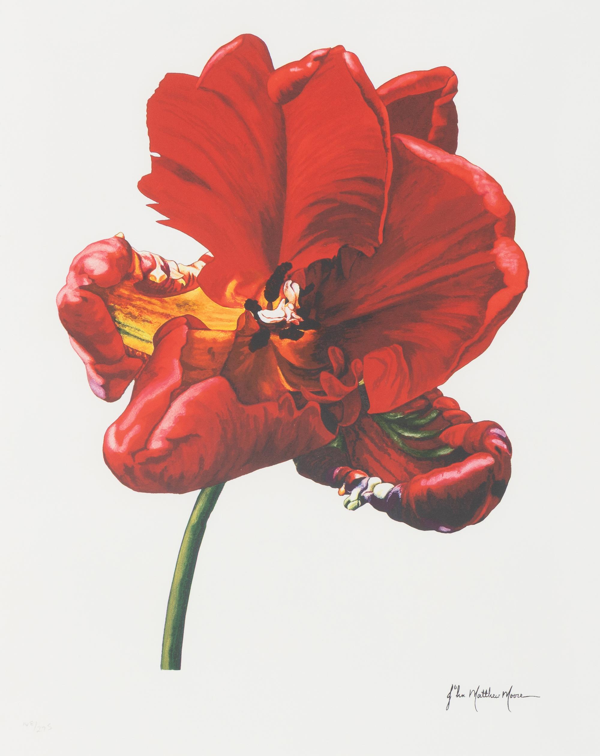 John Matthew Moore (20th/21st Century)