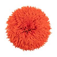 An Orange Feather Juju Headdress