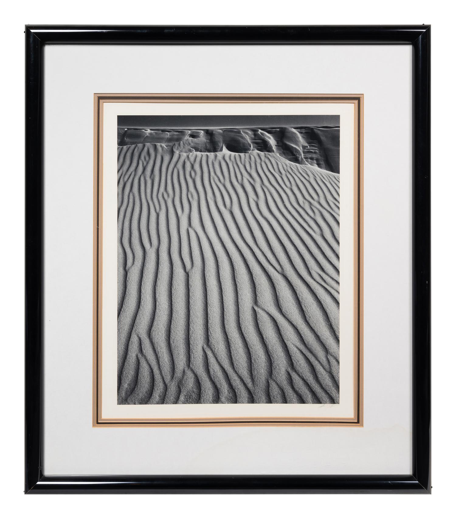 Sand Dunes, Oceano, California
