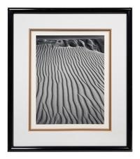 Sand Dunes, Oceano, California