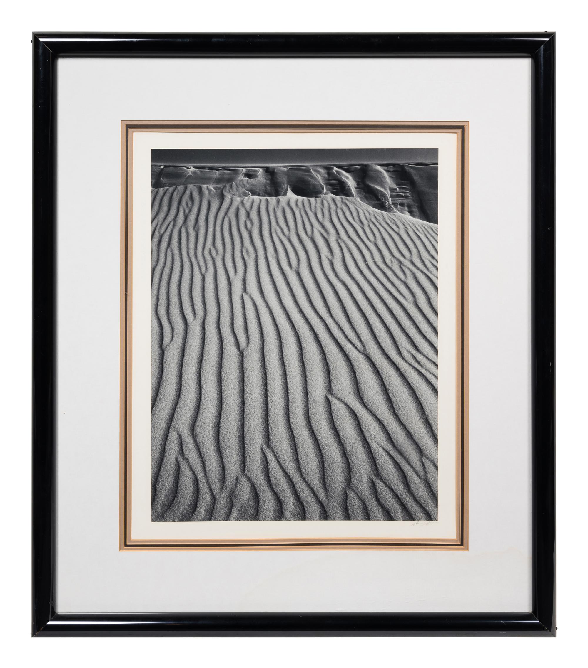 Sand Dunes, Oceano, California
