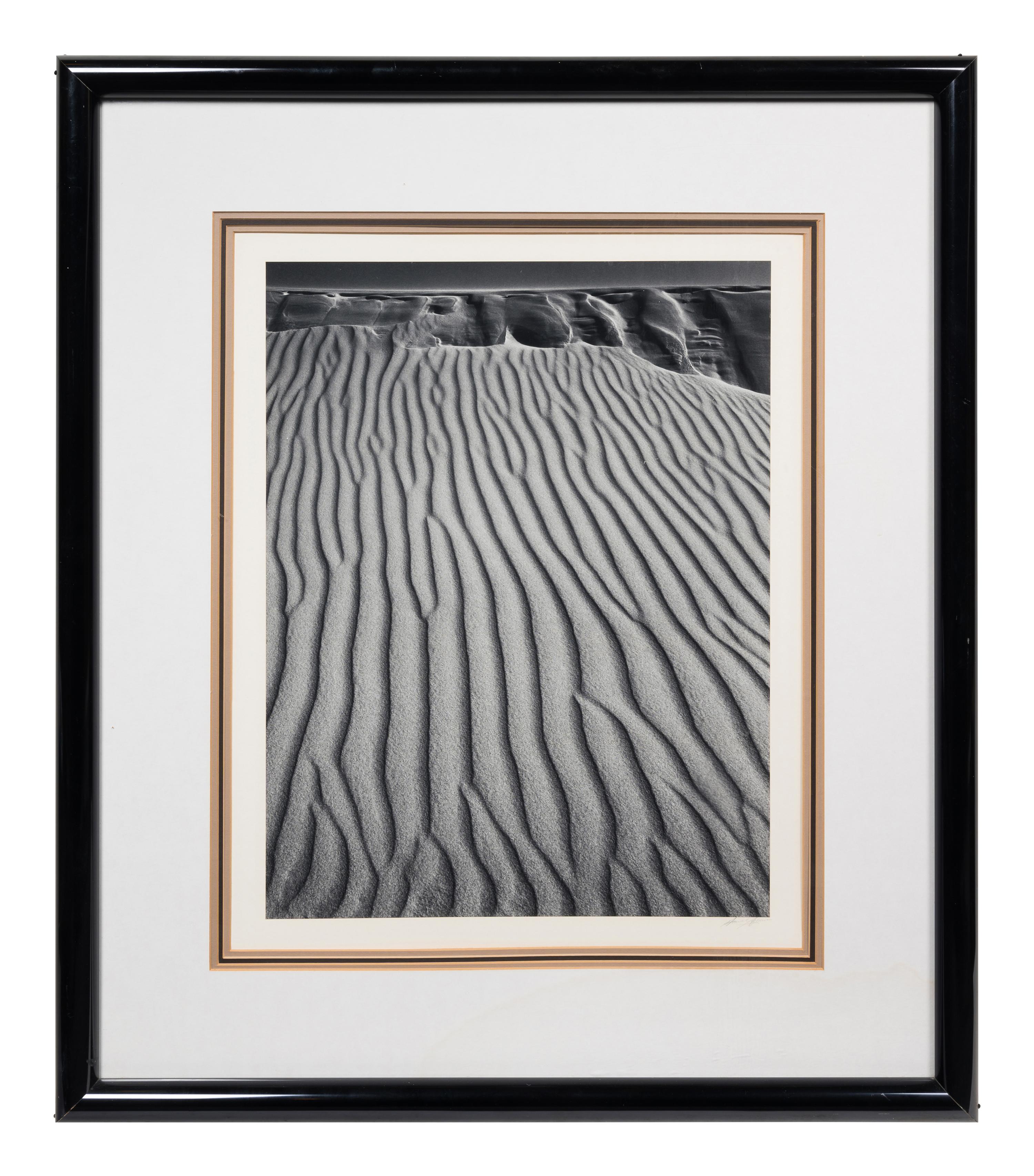 Sand Dunes, Oceano, California
