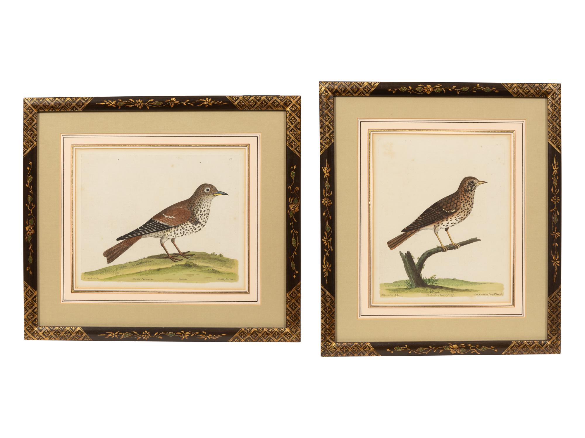 A Pair of Hand Colored Ornithological Engravings