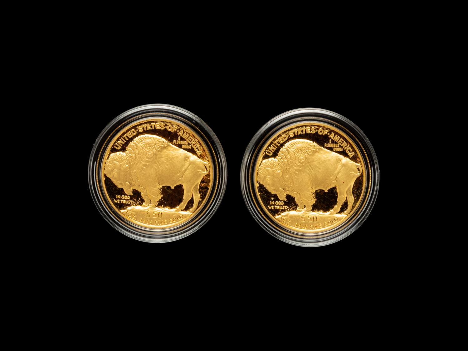 Two 2006-W American Buffalo $50 1 oz. Gold Proof Coins