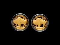 Two 2006-W American Buffalo $50 1 oz. Gold Proof Coins