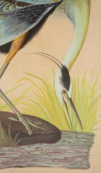 Two Chinese Paintings of Exotic Birds in Floating Glass Frames