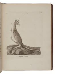 PENNANT, Thomas (1726-1798). History of Quadrupeds . London: B. White, 1781.